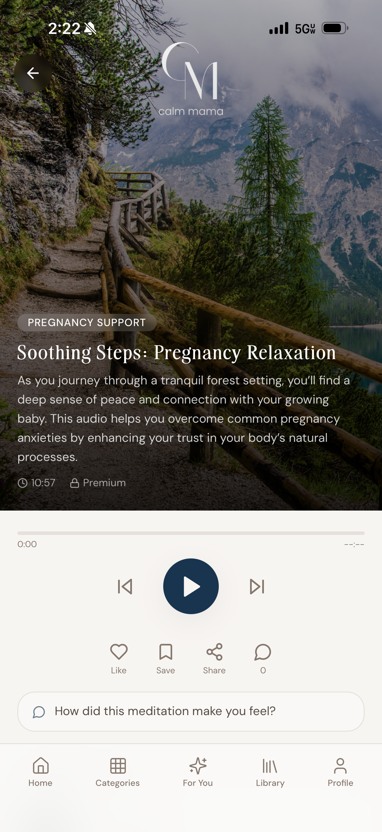 Soothing Steps Pregnancy Relaxation