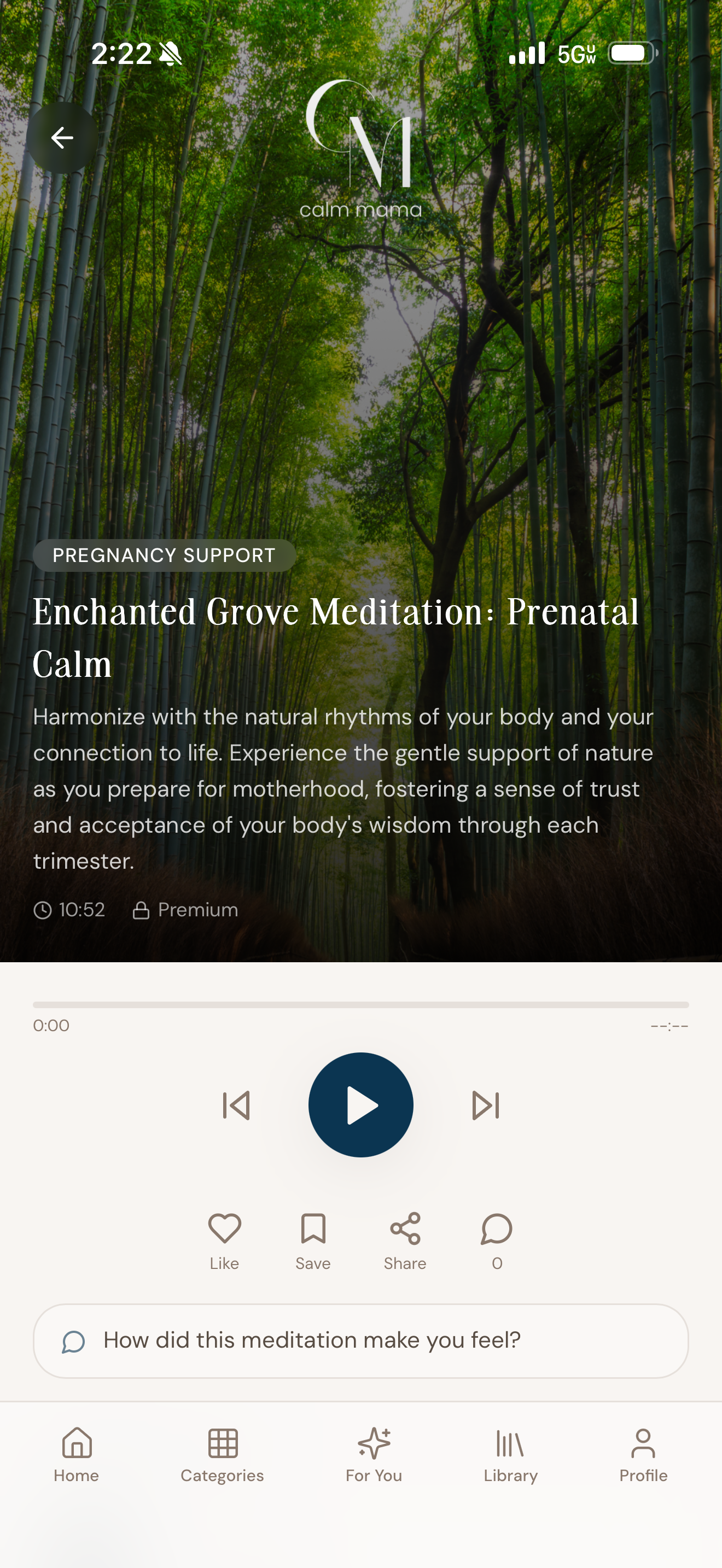 Enchanted Grove Prenatal Calm Meditation
