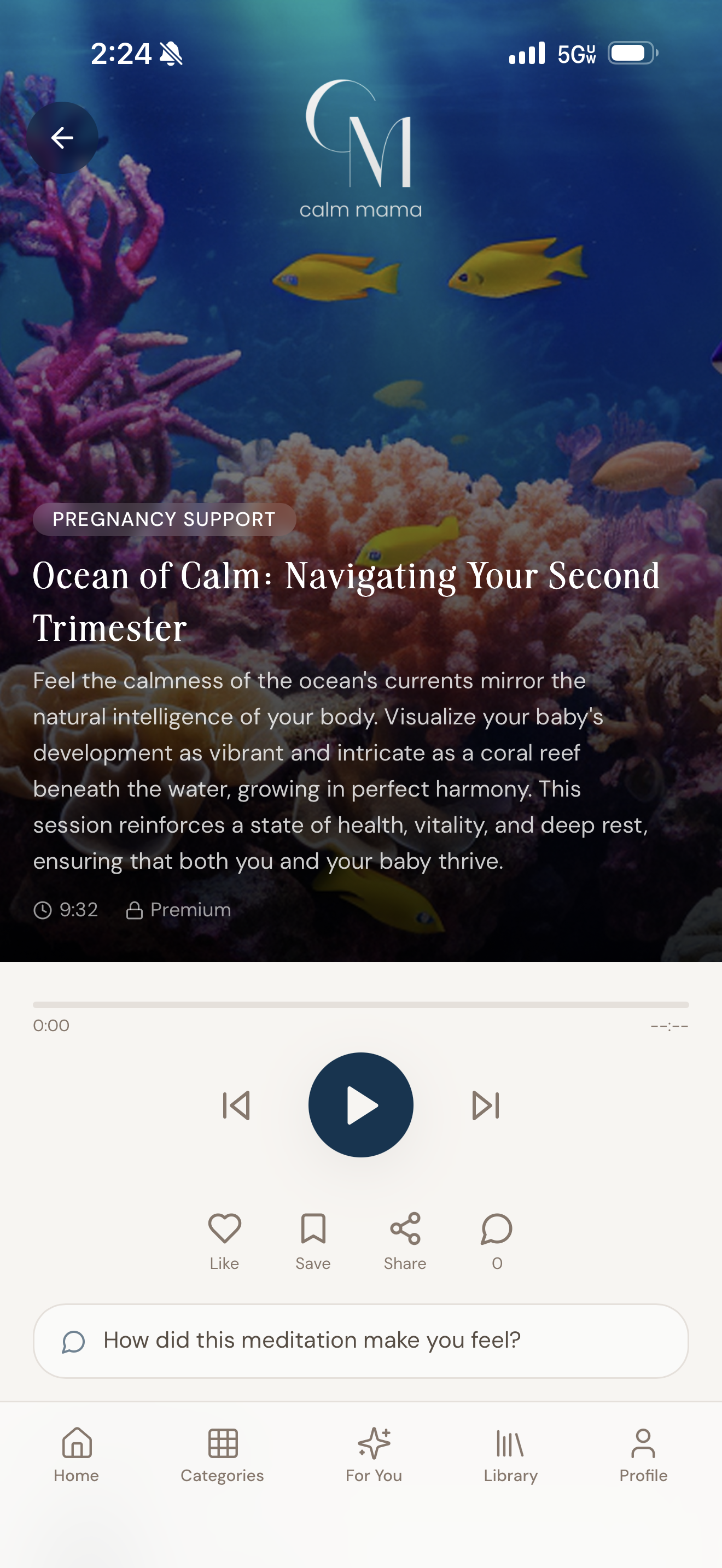 Calm Mama pregnancy hypnotherapy session